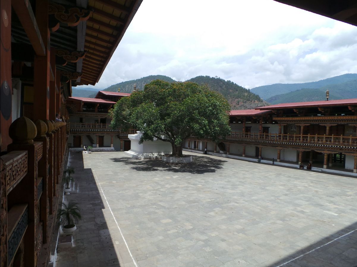 Punakha Dzong114